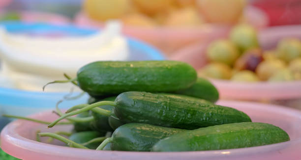 تصویر 3 از خیار سالادی رفسنجانی خوش‌ طعم و طبیعی